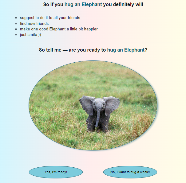 an elephant image