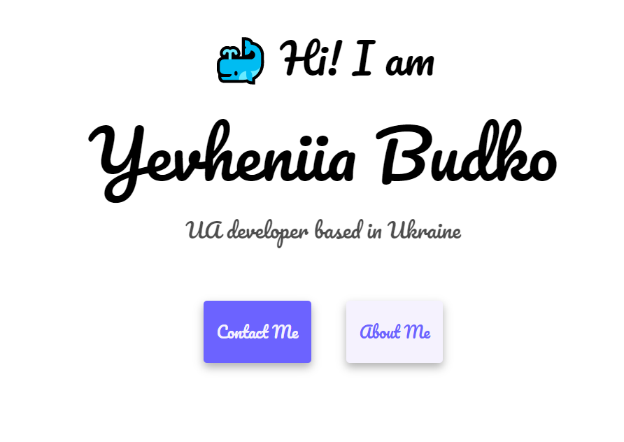 portfolio page screen